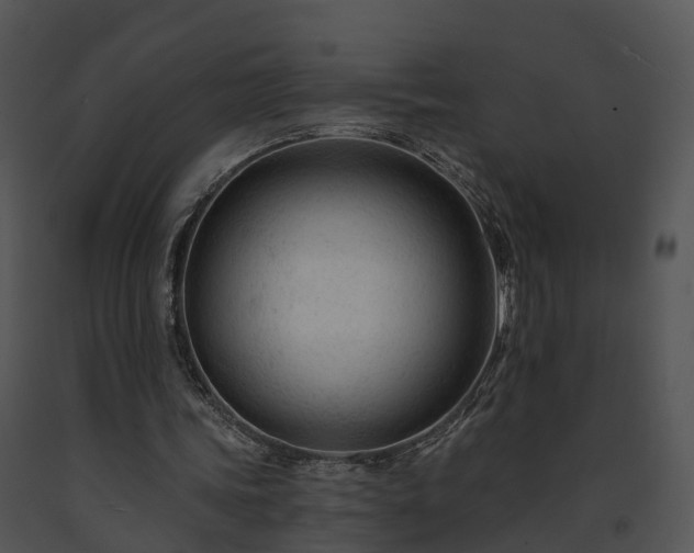 X0000091690339200708301544