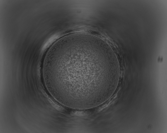 X0000091690341200708301544