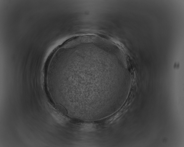 X0000091690342200708301544