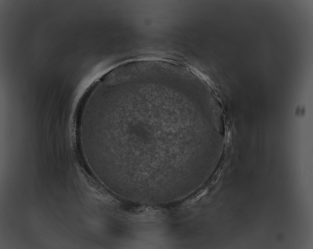 X0000091690343200708301544