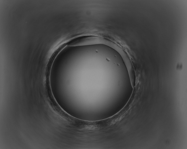 X0000091690344200708301544