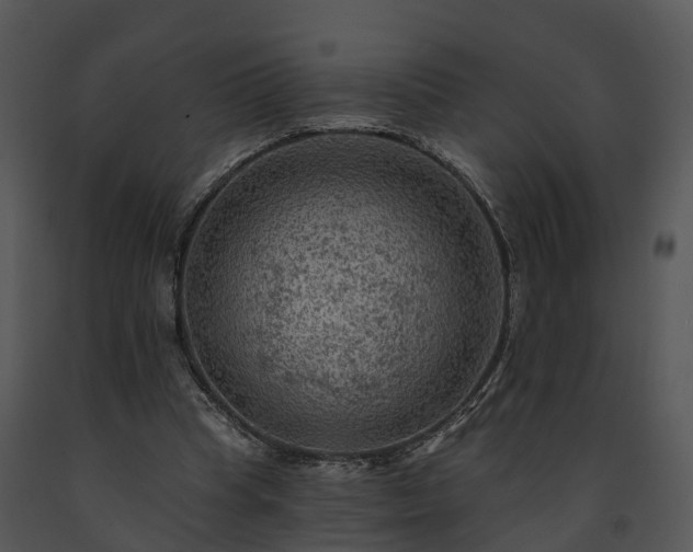 X0000091690345200708301545