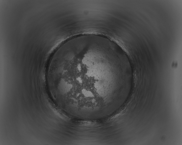 X0000091690347200708301545