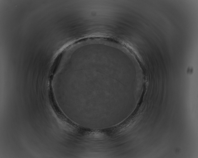 X0000091690348200708301545