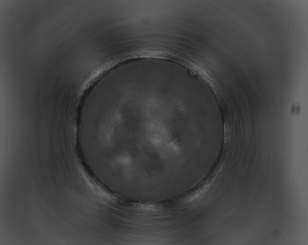 X0000091690349200708301545