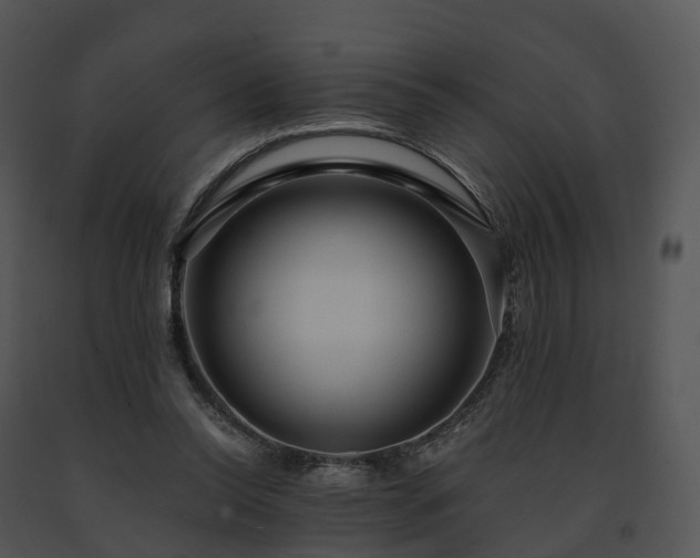 X0000091690350200708301545