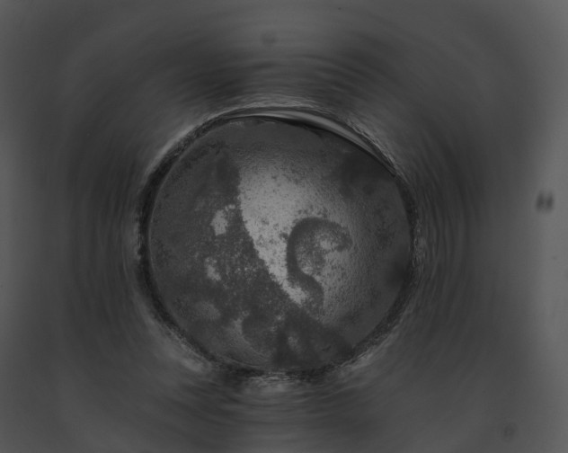 X0000091690351200708301545