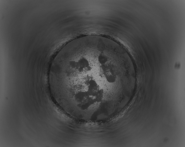 X0000091690353200708301545