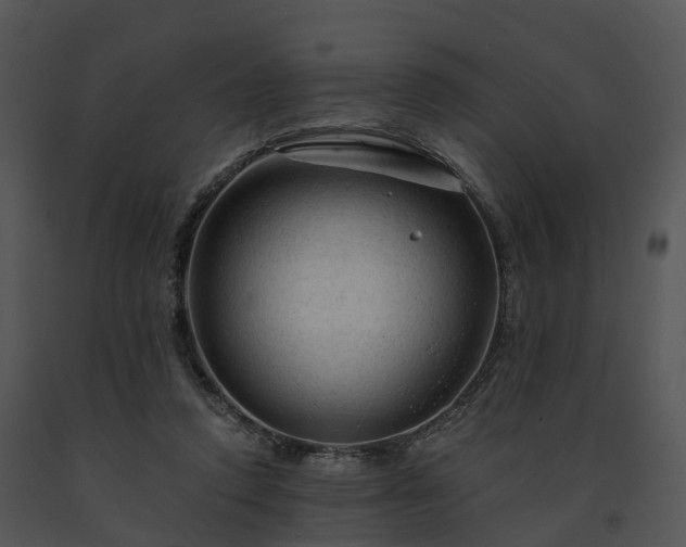 X0000091690354200708301545