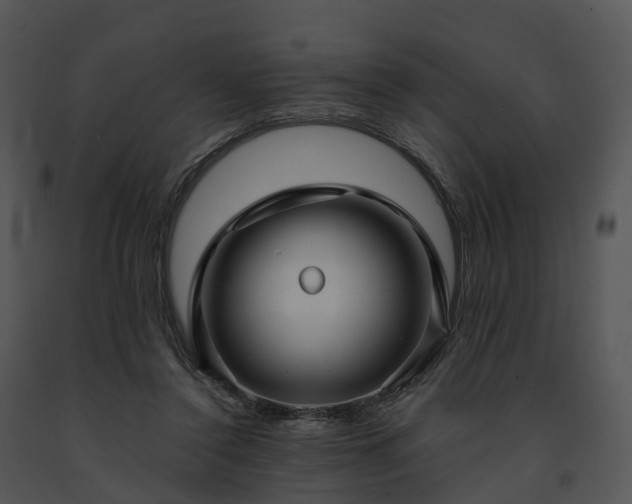 X0000091690356200708301545