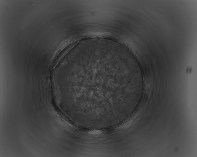 X0000091690357200708301545