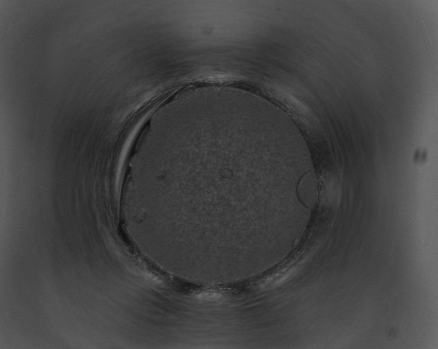 X0000091690358200708301545