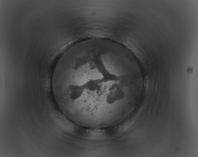 X0000091690359200708301545