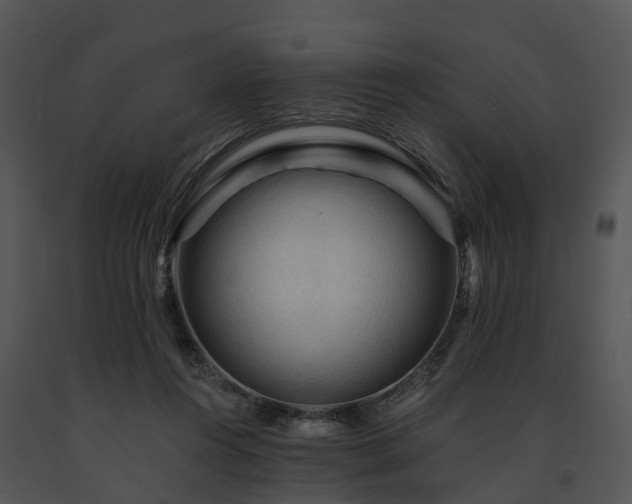 X0000091690360200708301545