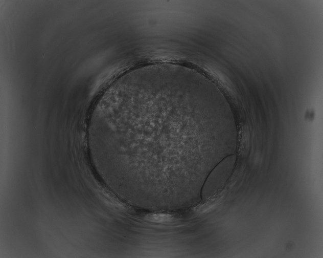 X0000091690361200708301545