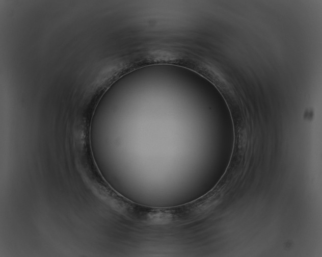 X0000091690362200708301545