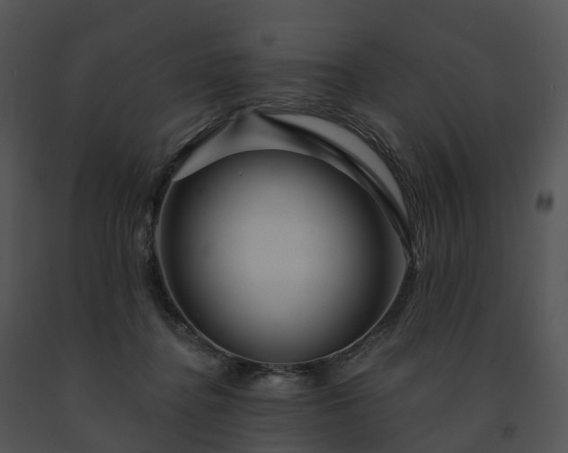 X0000091690364200708301545