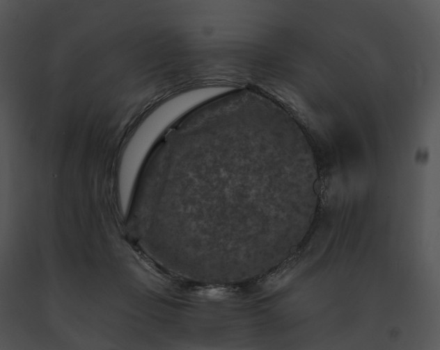 X0000091690365200708301545