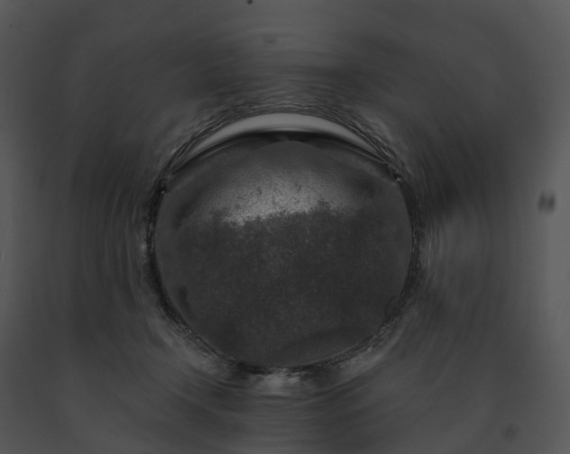 X0000091690366200708301545