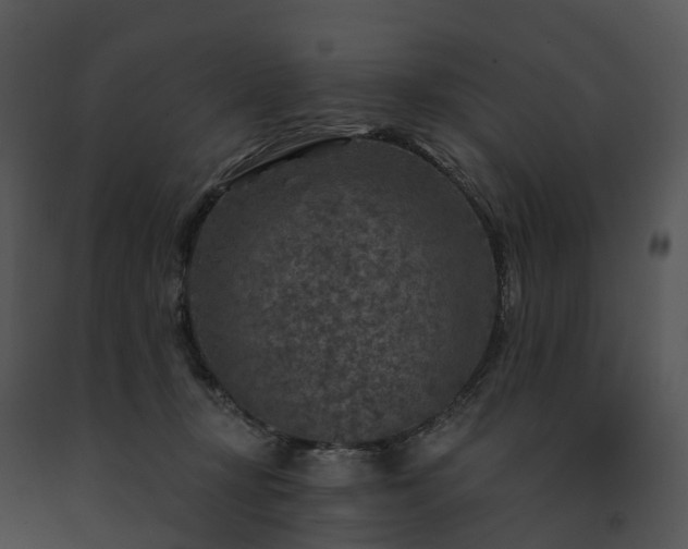 X0000091690367200708301545