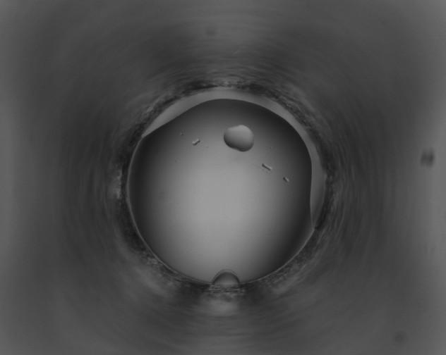 X0000091690368200708301545