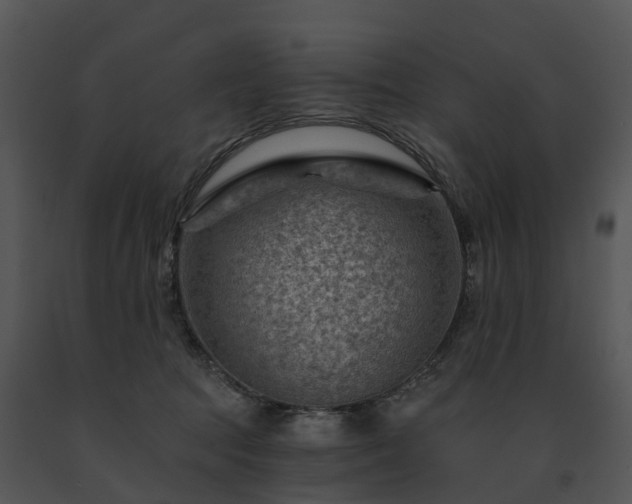 X0000091690369200708301545