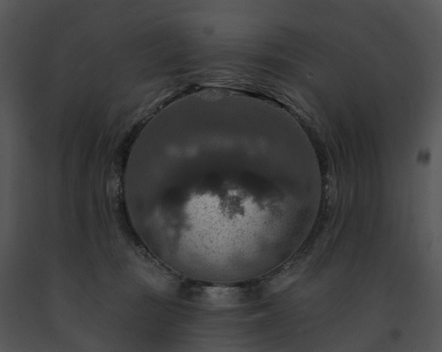 X0000091690371200708301545