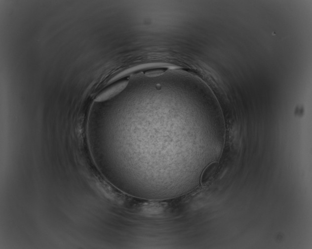 X0000091690373200708301545