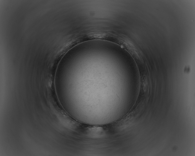 X0000091690374200708301545
