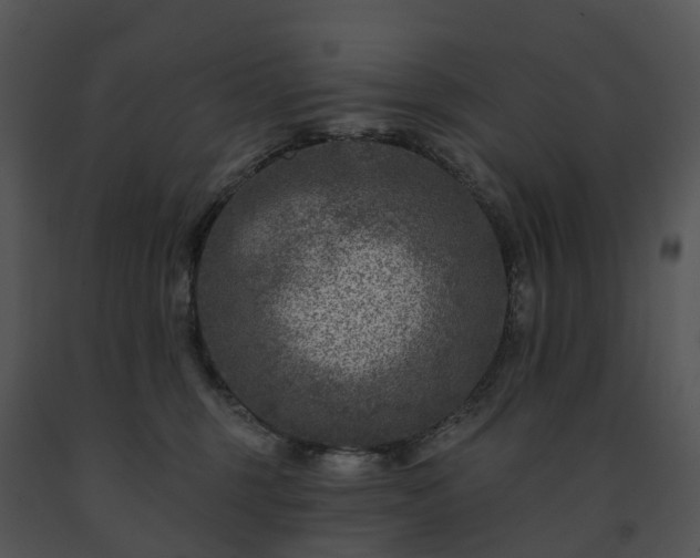 X0000091690375200708301545