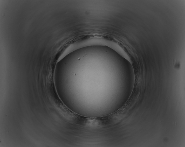 X0000091690376200708301545