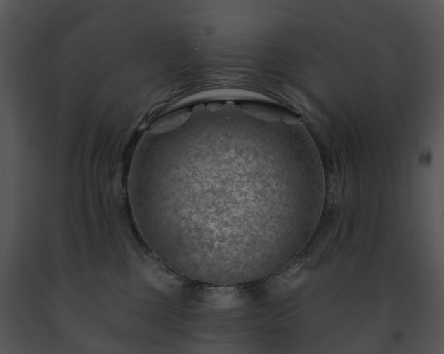 X0000091690377200708301545