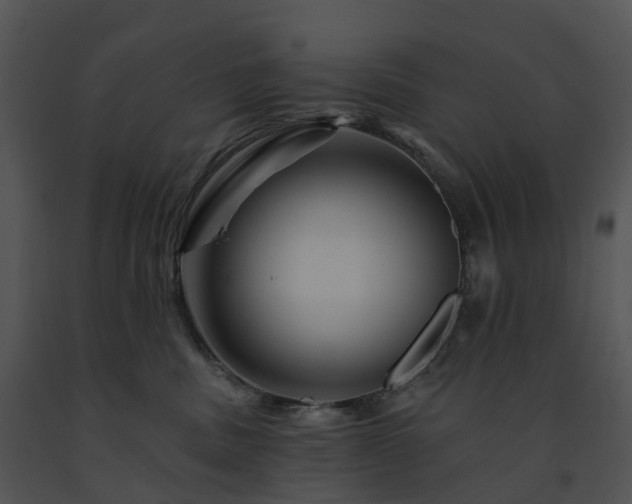 X0000091690379200708301545