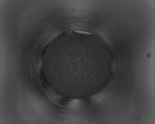 X0000091690382200708301545
