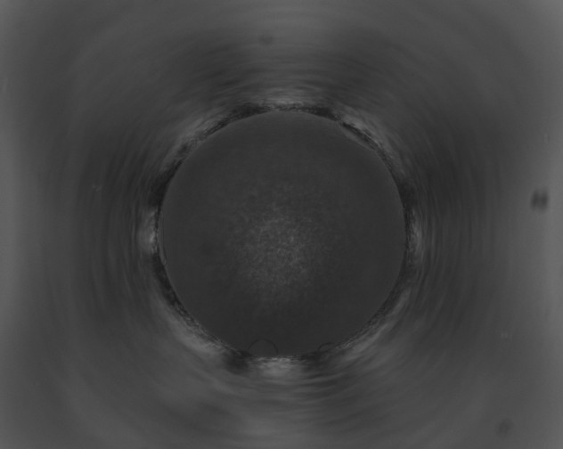 X0000091690383200708301545