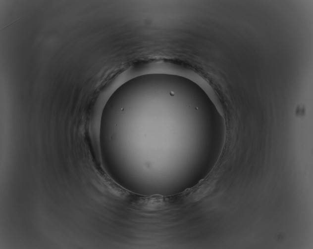 X0000091690384200708301545