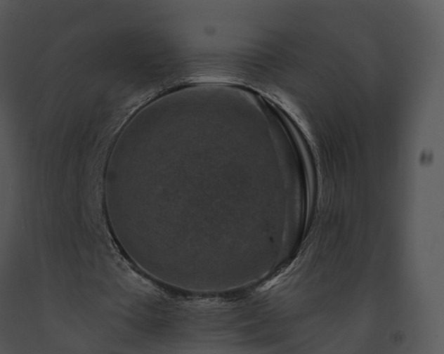 X0000091690385200708301544