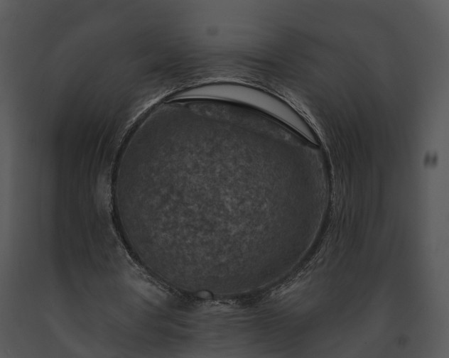 X0000091690386200708301544