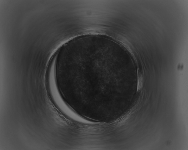 X0000091690387200708301544