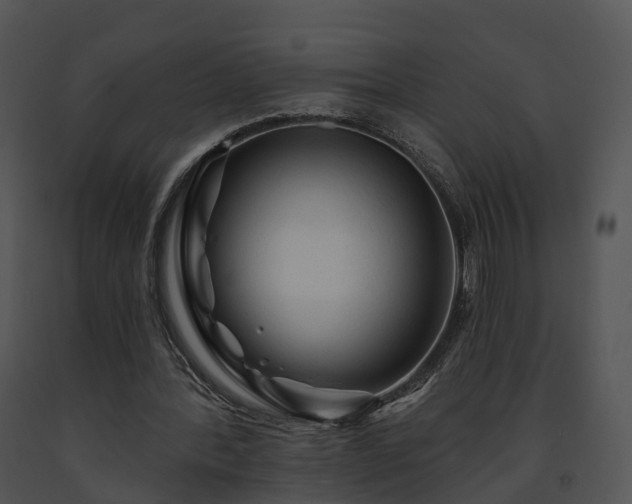 X0000091690388200708301544