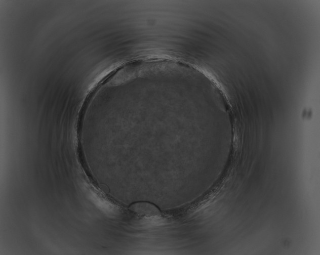 X0000091690390200708301544