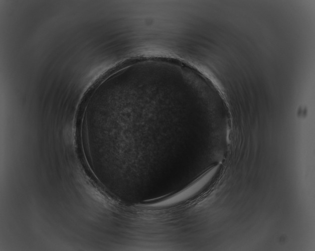 X0000091690391200708301544