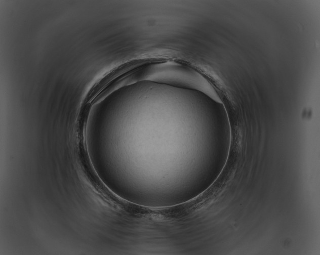X0000091690392200708301544