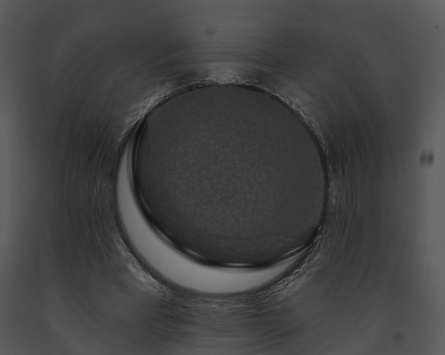 X0000091690393200708301544