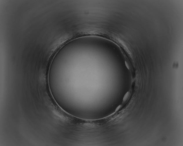 X0000091690394200708301544