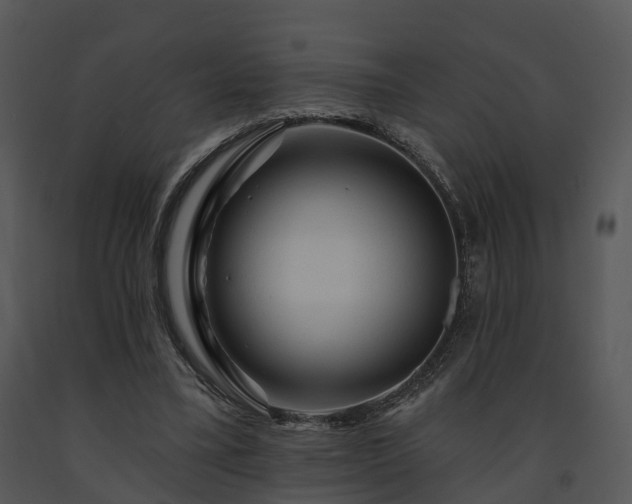 X0000091690395200708301544