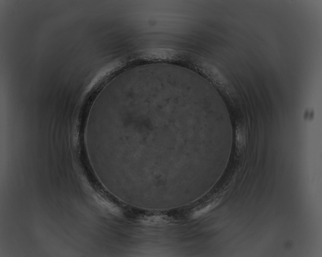 X0000091690396200708301544