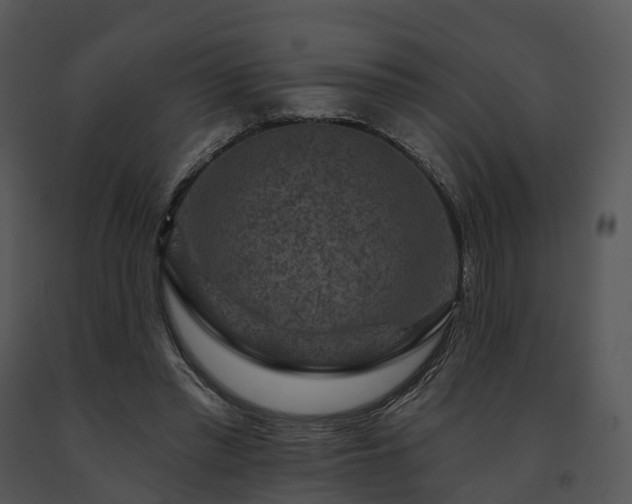 X0000091690397200708301544
