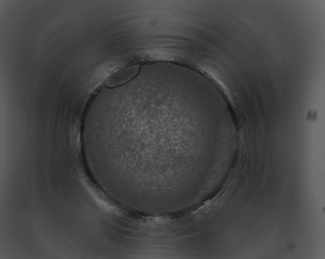 X0000091690398200708301544