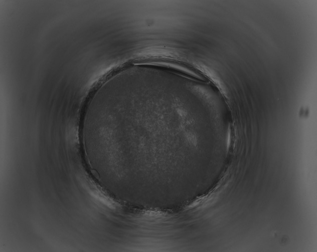 X0000091690399200708301544